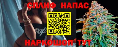 индика Новозыбков