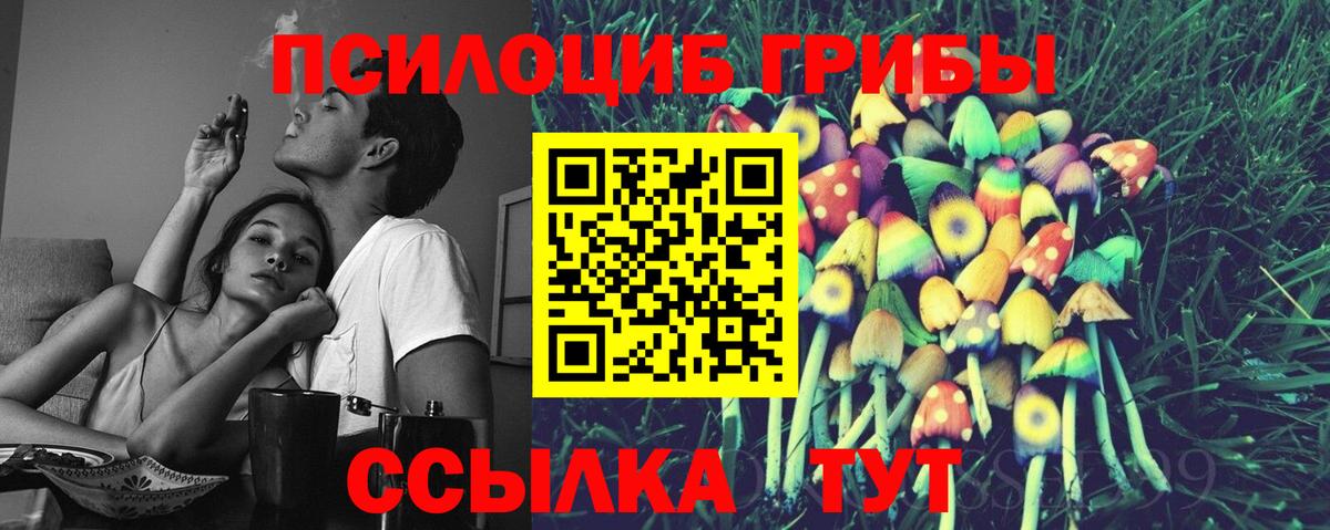 Псилоцибиновые грибы Psilocybe Сызрань