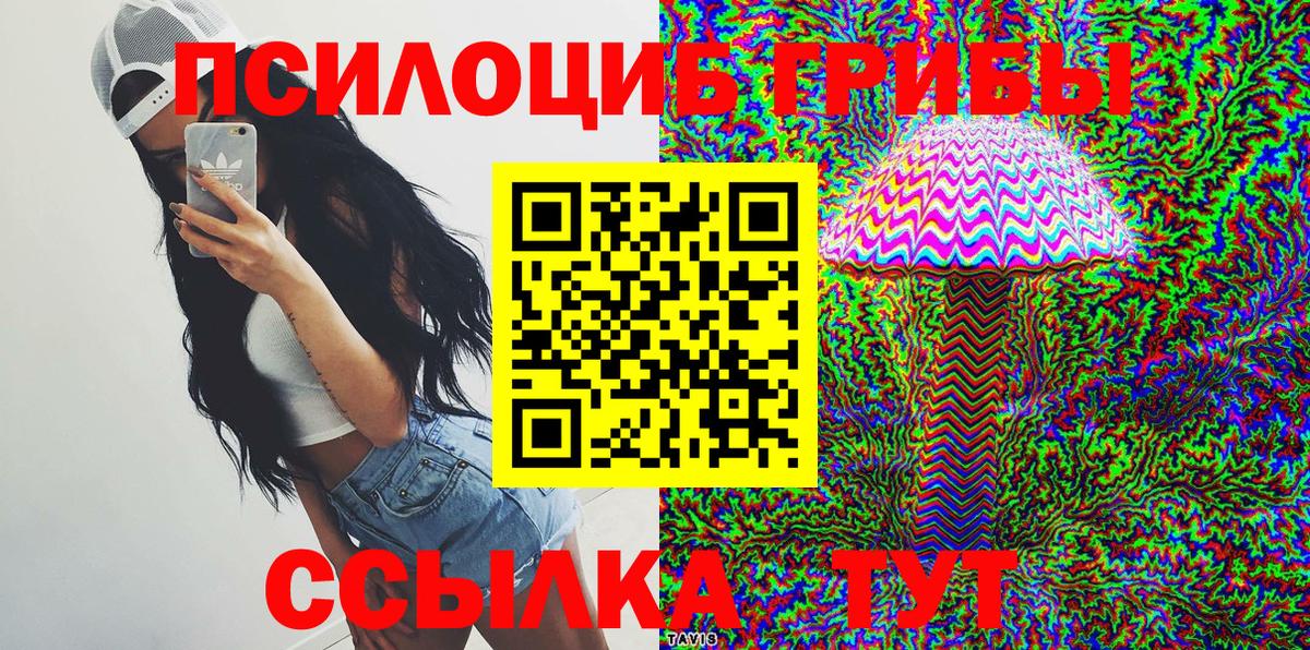 Сызрань  Псилоцибиновые грибы MAGIC MUSHROOMS  Галлюциногенные грибы Psilocybine cubensis  наркошоп  Вход с VPN 